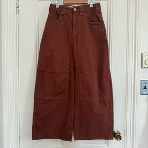 Anthropologie PILCRO Rust Wide-Leg Pants